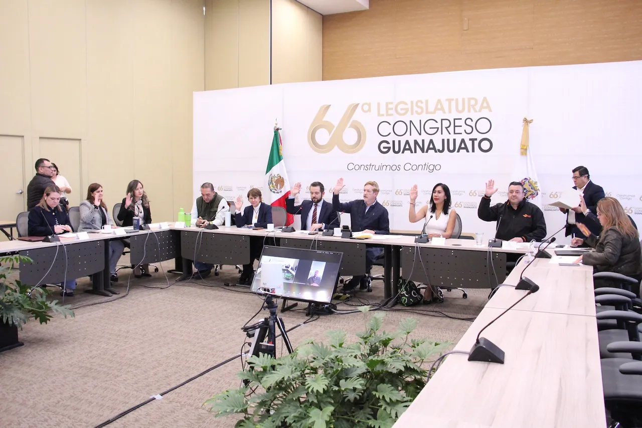 WhatsApp Image 2024-12-03 at 14.43.33