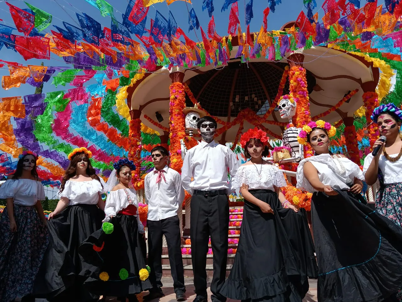 WhatsApp Image 2024-11-01 at 14.26.30