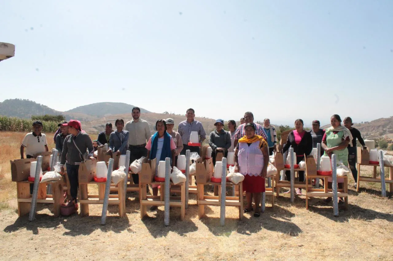 WhatsApp Image 2024-12-05 at 11.18.02