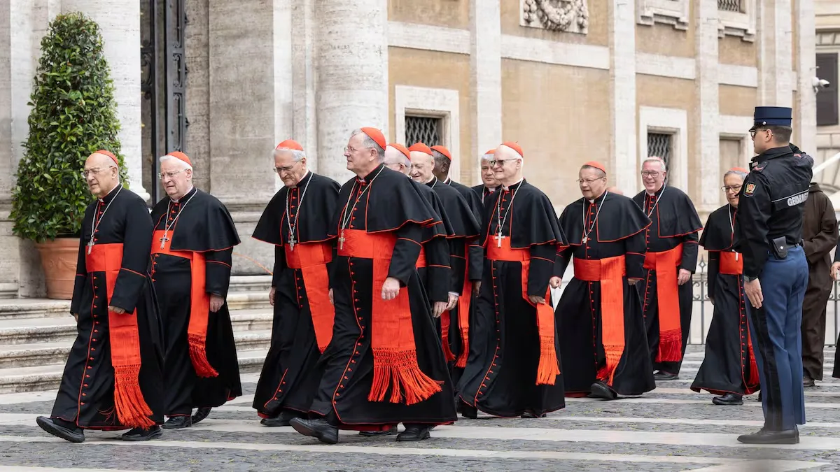 Cardenales copia
