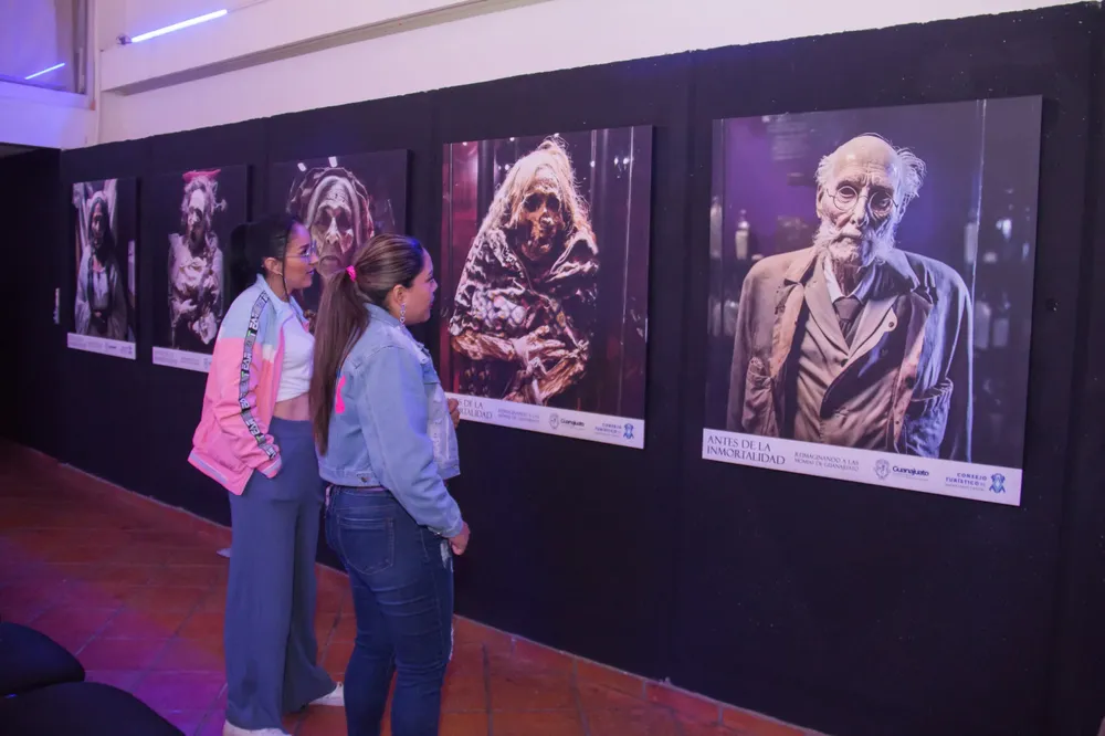 WhatsApp Image 2024-01-16 at 15.24.22