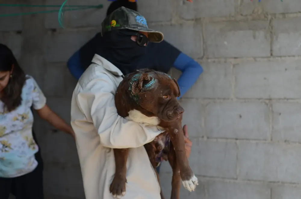 3839773a-9c2f-4736-ba2a-51eba25d8e1f