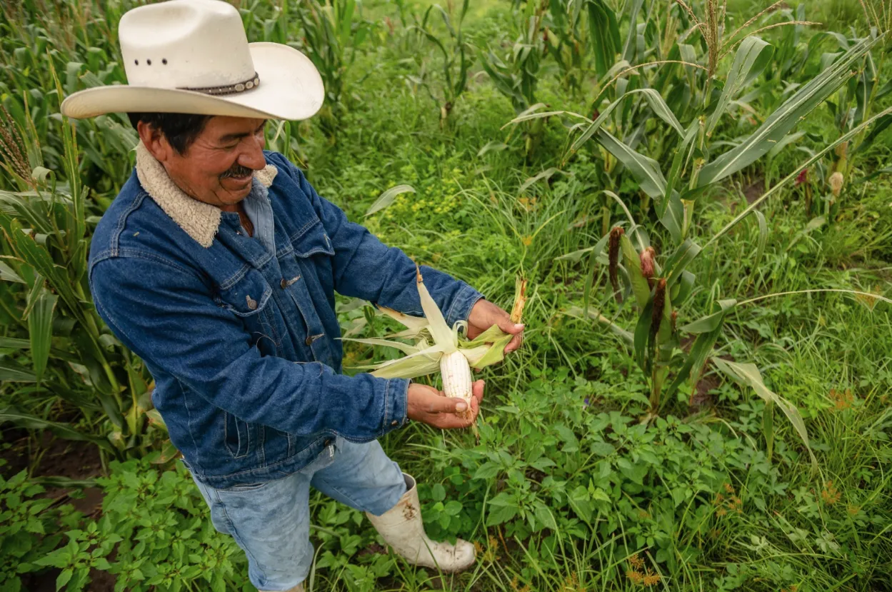 Captura de pantalla 2024-07-27 a la(s) 3.09.05 a.m.