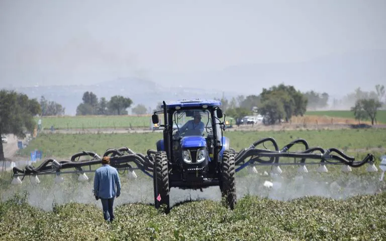 Sector agroindustrial a la alza en Guanajuato