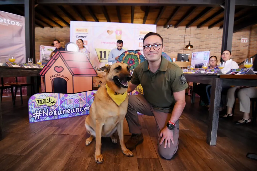 WhatsApp Image 2024-09-24 at 16.52.43