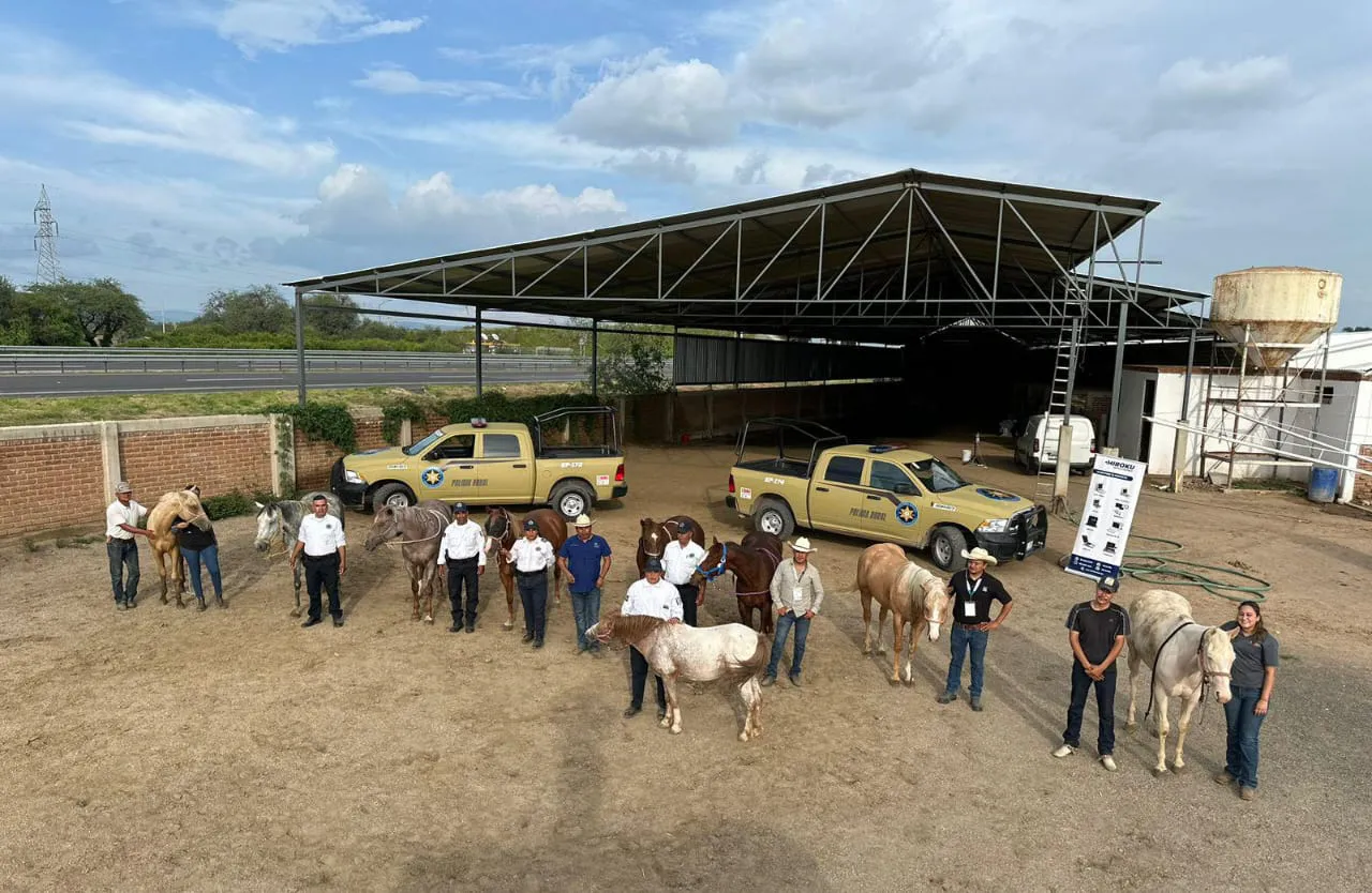 WhatsApp Image 2024-09-06 at 12.03.14