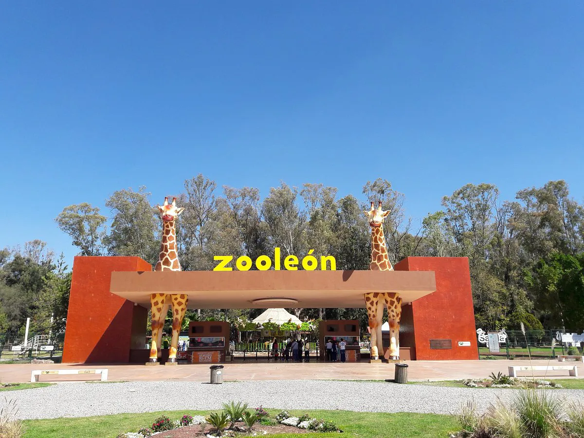 zooleon-un-lugar-increible