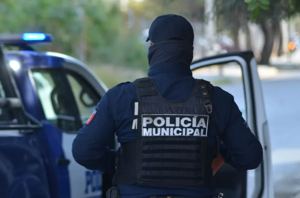 WhatsApp Image 2025-03-18 at 15.24.44