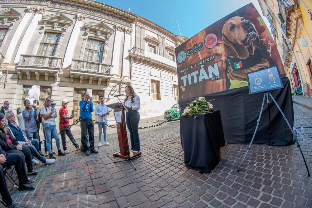 WhatsApp Image 2024-12-14 at 15.19.15 (2)