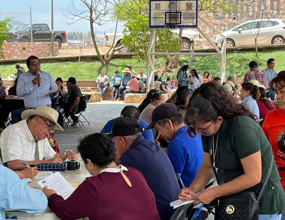 WhatsApp Image 2024-07-27 at 12.33.47