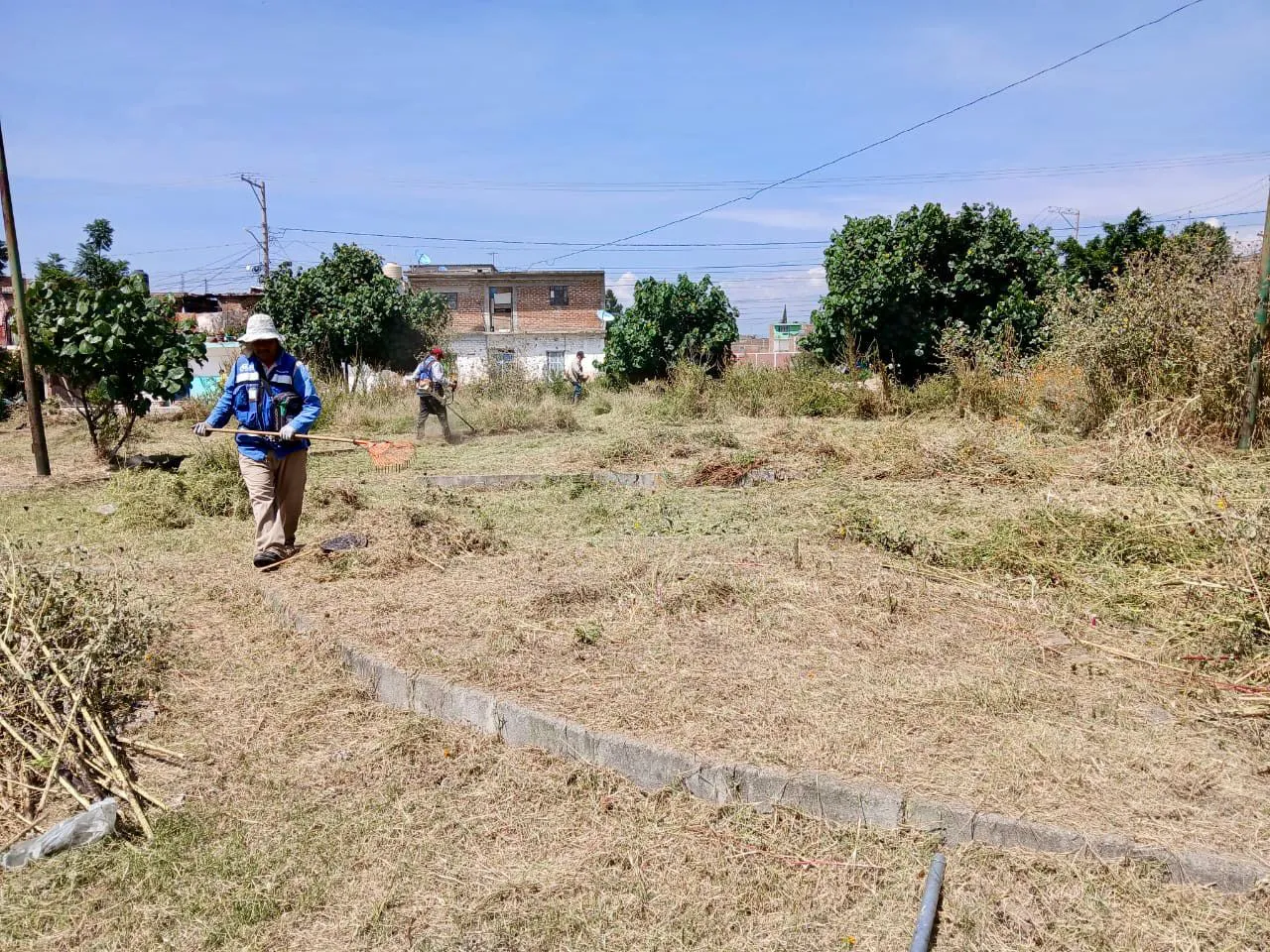 WhatsApp Image 2025-10-18 at 10.42.15