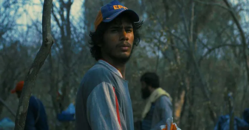 Cine-BOREAL_-835x439