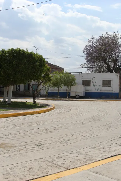 WhatsApp Image 2026-03-17 at 6.19.01 PM