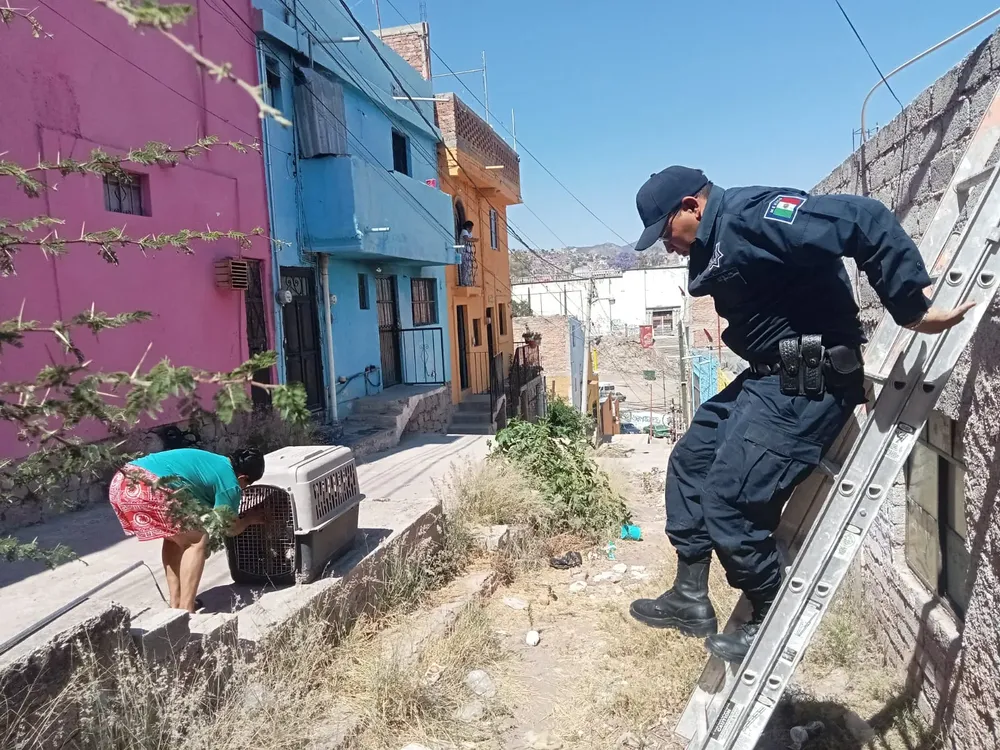 WhatsApp Image 2024-03-30 at 17.37.40