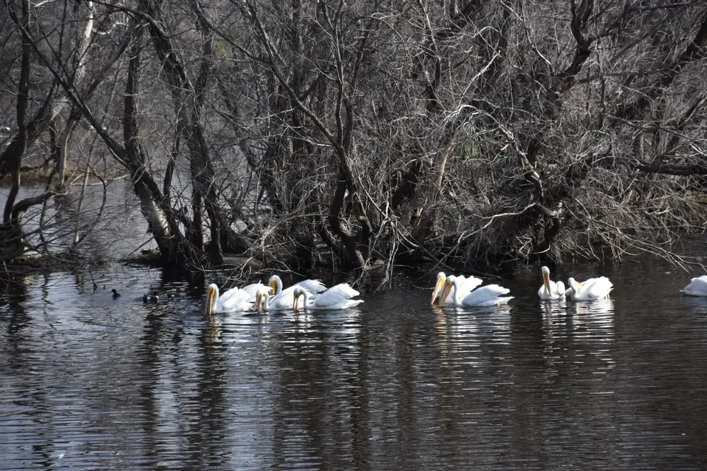 626741253_1337846281716498_7070881111039134967_n