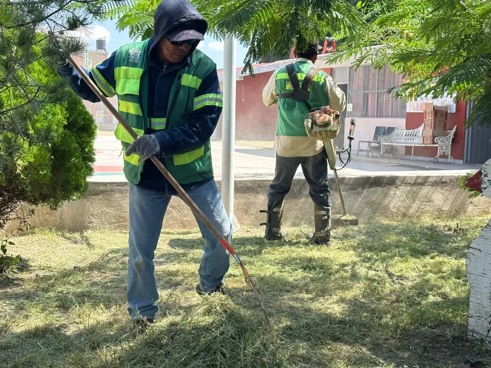 WhatsApp Image 2024-10-14 at 16.44.49