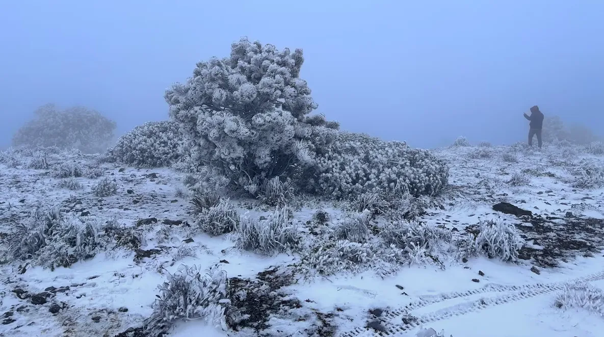 Sierra de Nuevo León