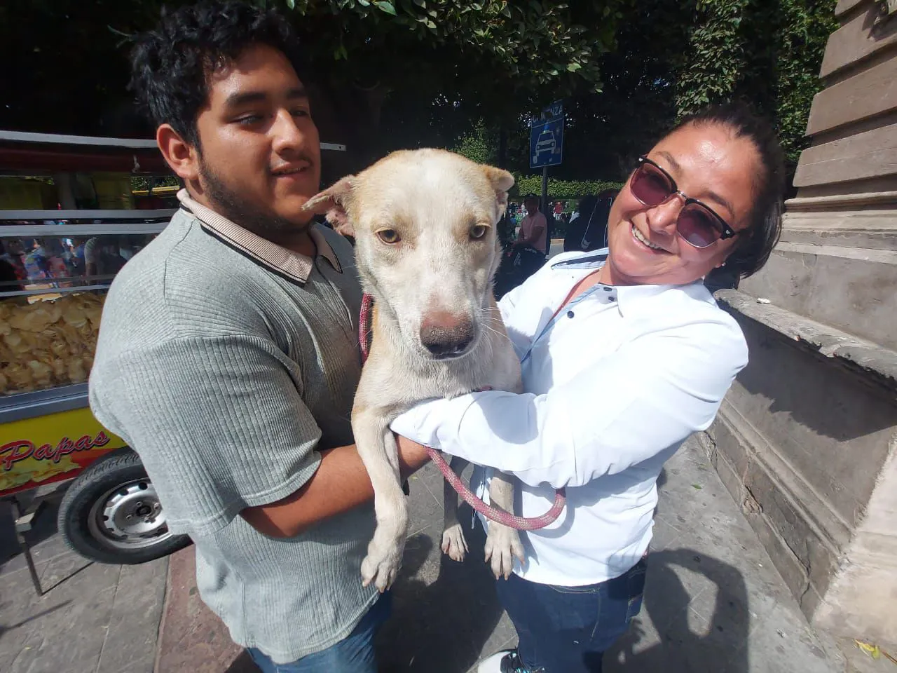 WhatsApp Image 2024-11-19 at 09.12.43