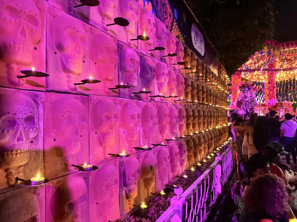 WhatsApp Image 2025-11-03 at 14.12.46