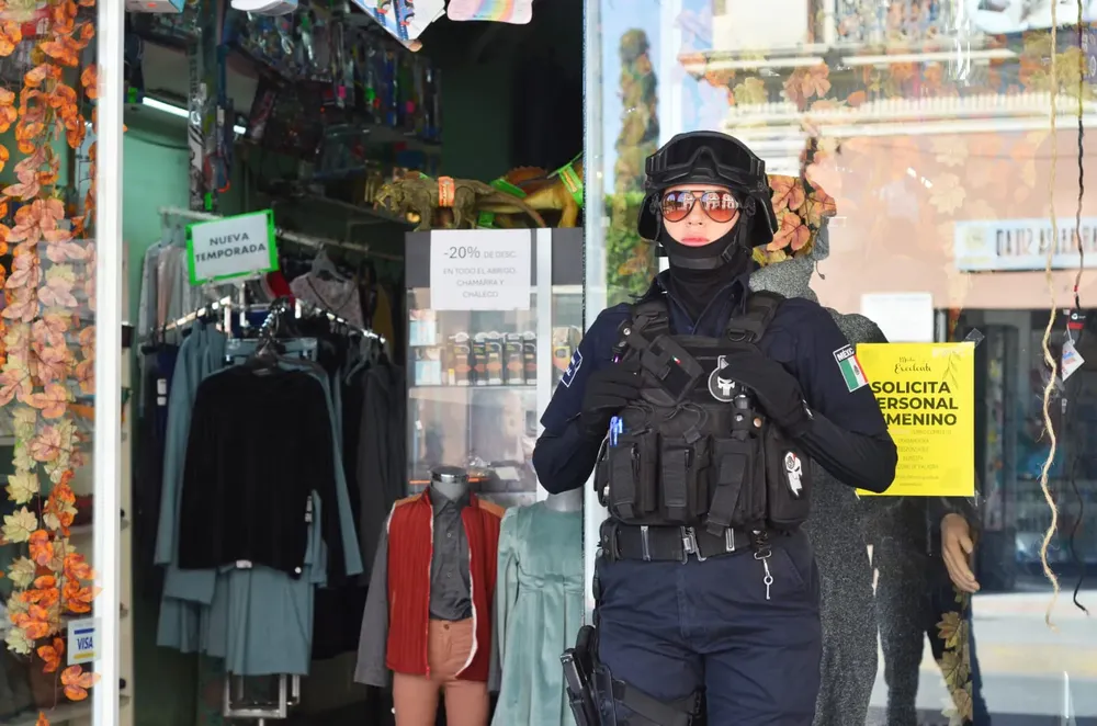 seguridad a comercios silao.