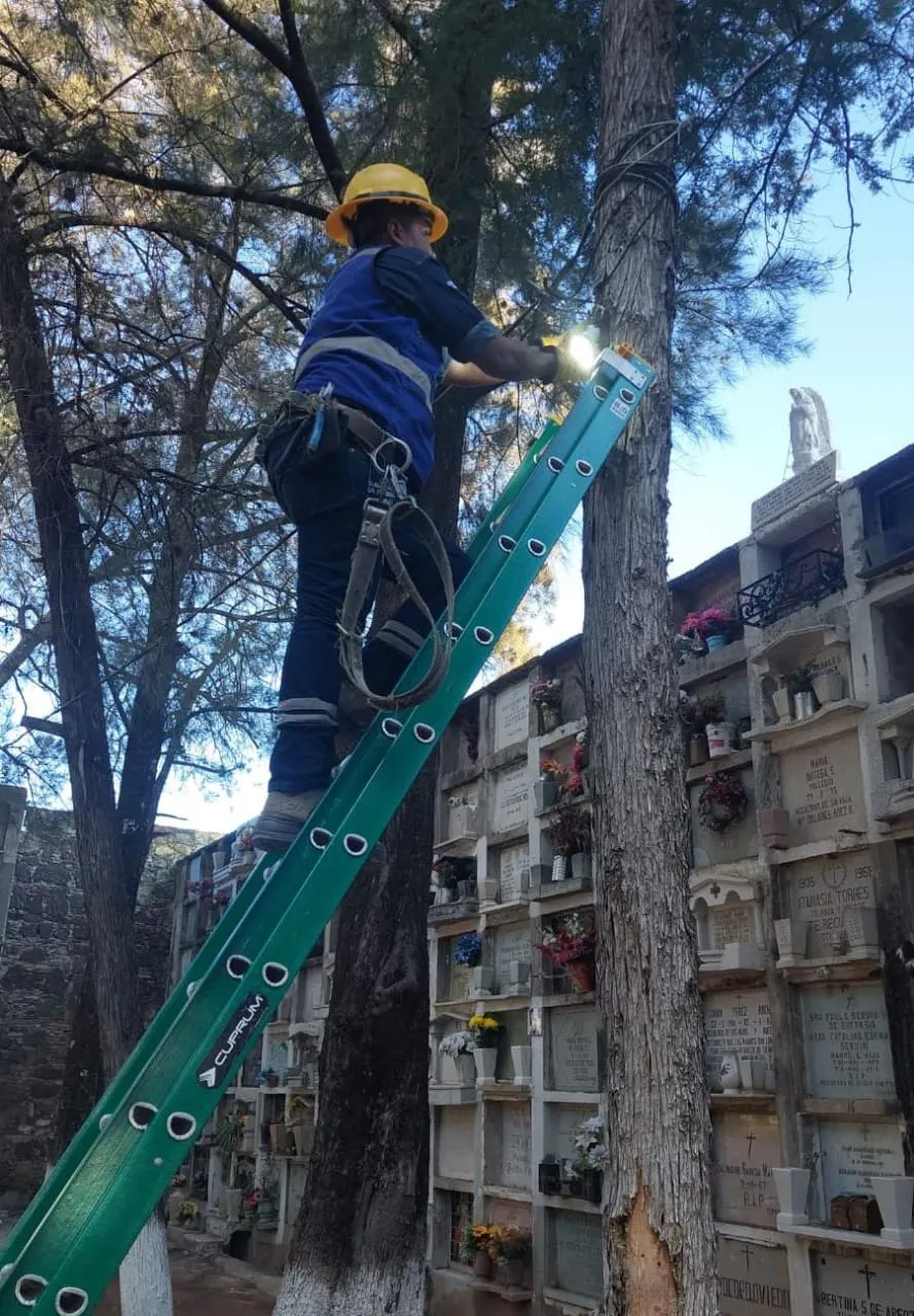 WhatsApp Image 2023-10-29 at 3.45.45 PM