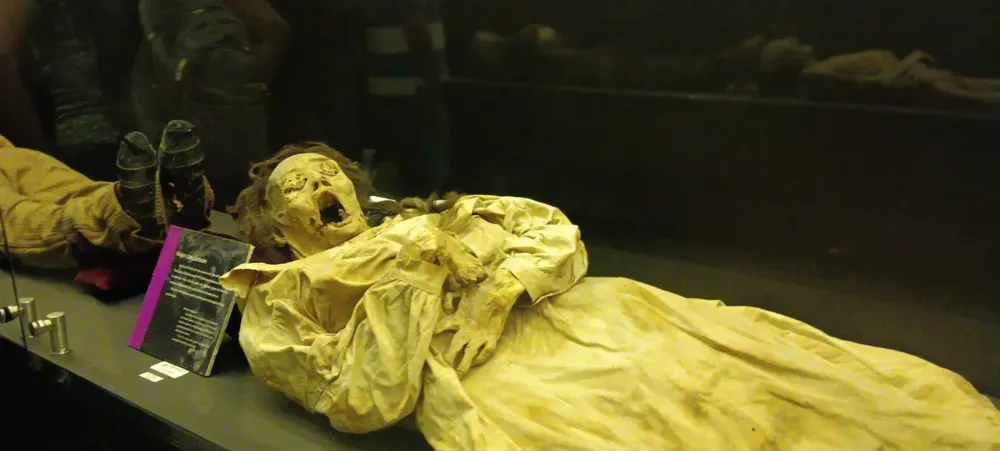 WhatsApp Image 2024-08-05 at 14.54.35