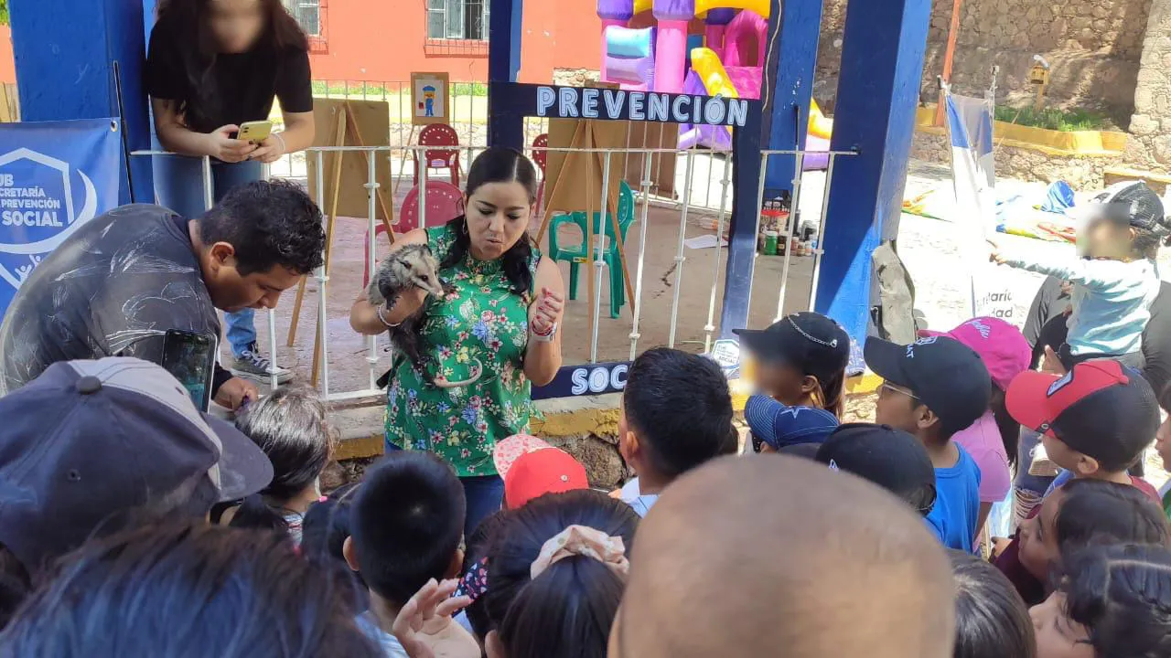 WhatsApp Image 2024-07-19 at 15.32.51