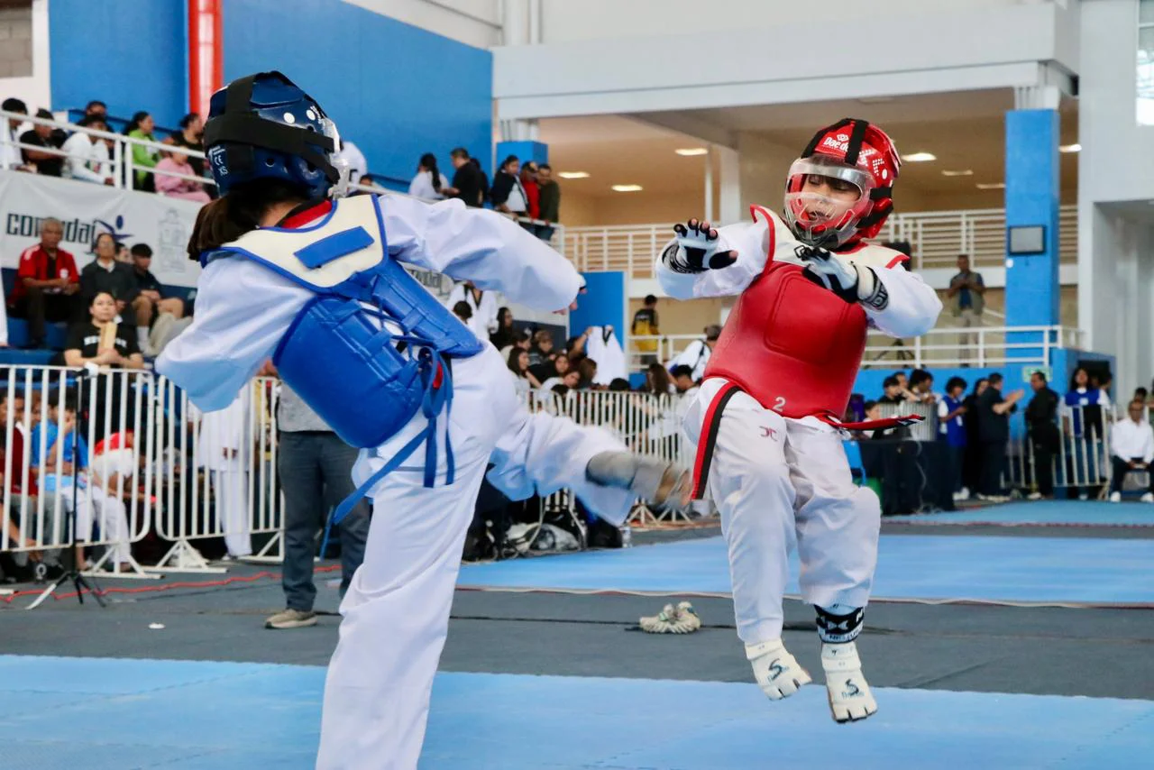 WhatsApp Image 2026-02-28 at 14.46.31