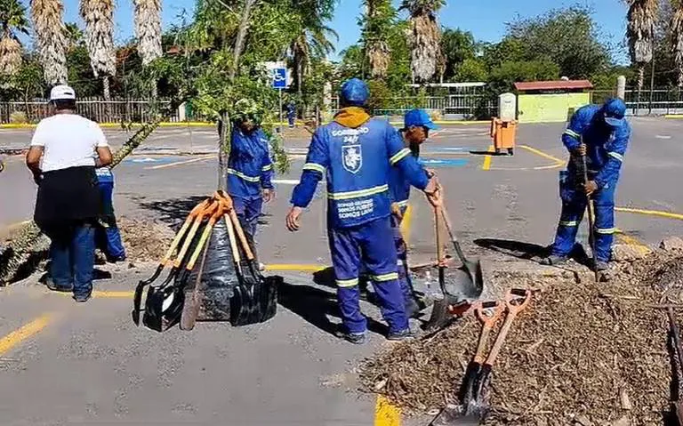 FOTO ISRAEL - ARBOLES (1)