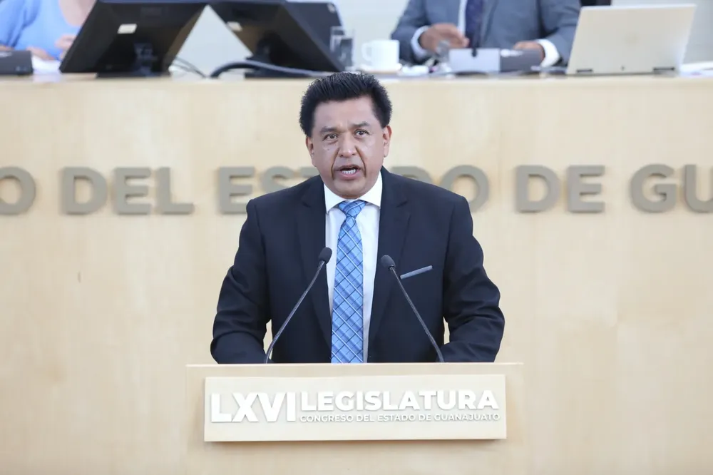 WhatsApp Image 2024-11-07 at 12.52.21