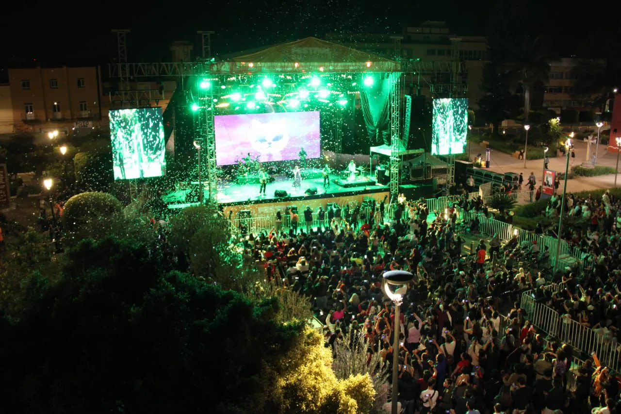 WhatsApp Image 2026-02-12 at 23.10.02