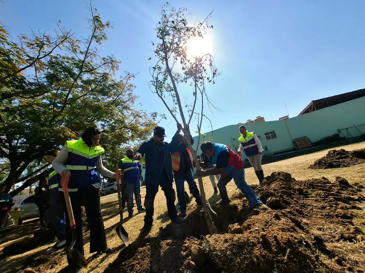 WhatsApp Image 2026-02-16 at 16.11.45