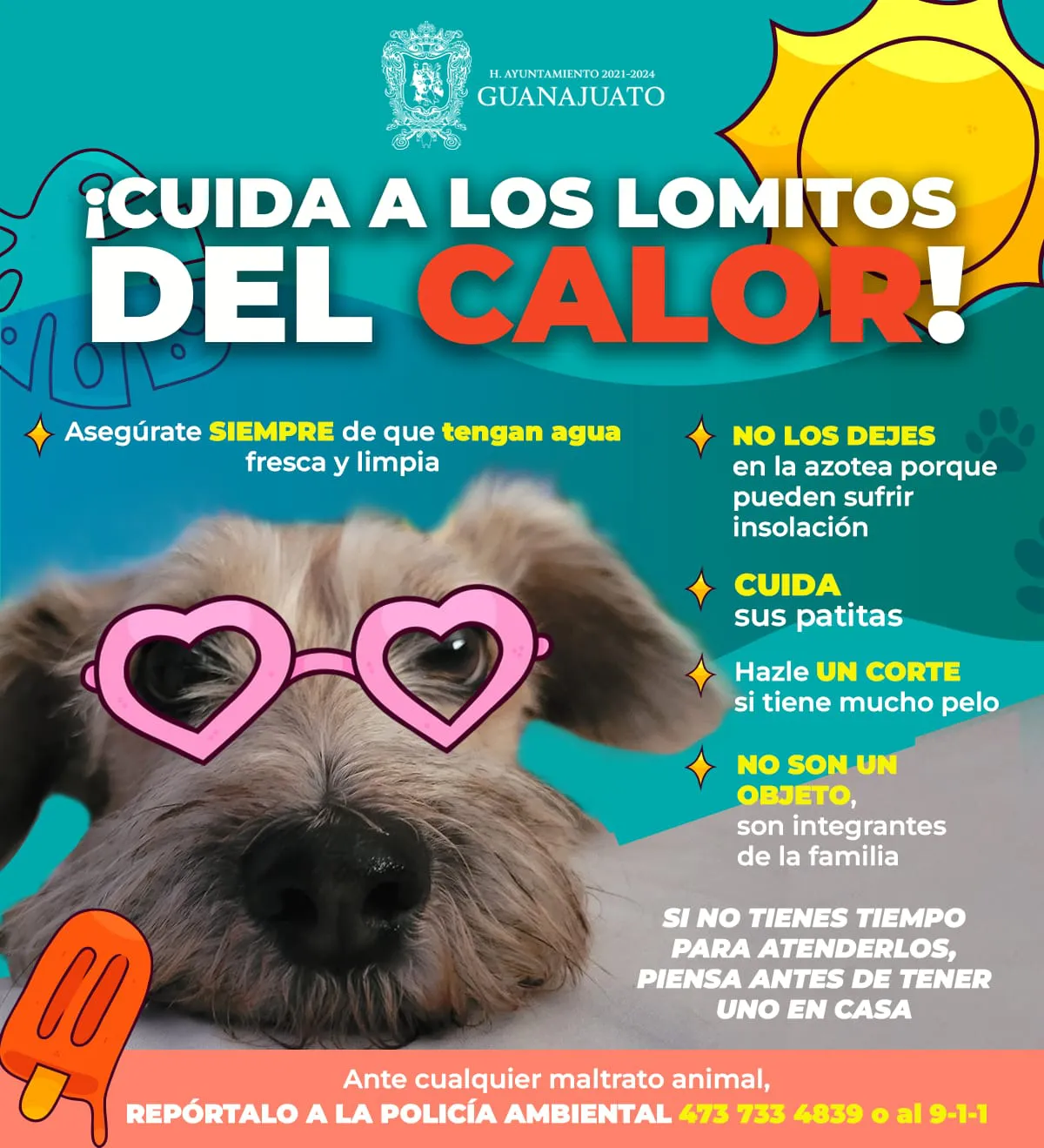 WhatsApp Image 2024-04-22 at 18.58.36