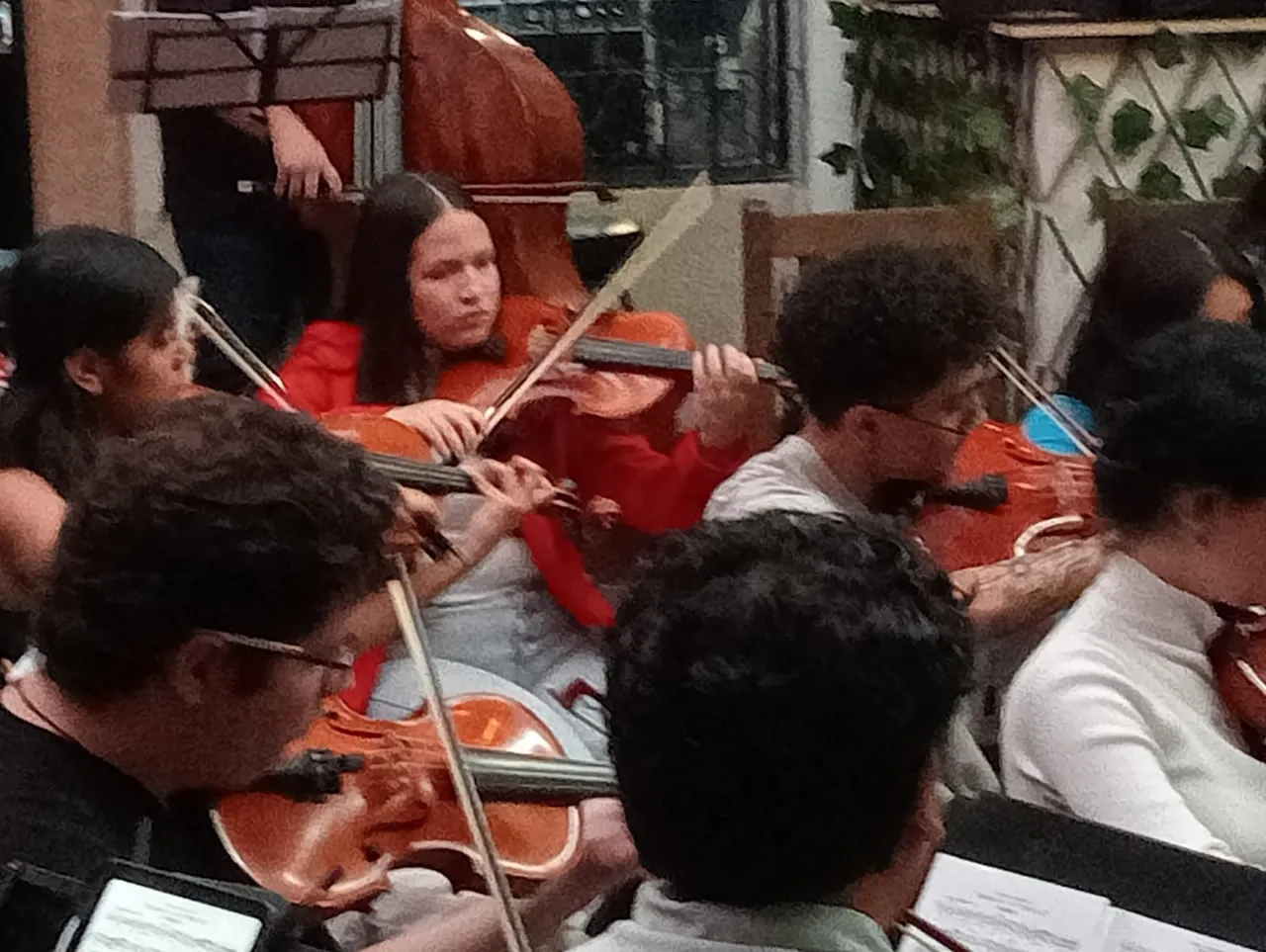 WhatsApp Image 2025-01-14 at 14.26.51