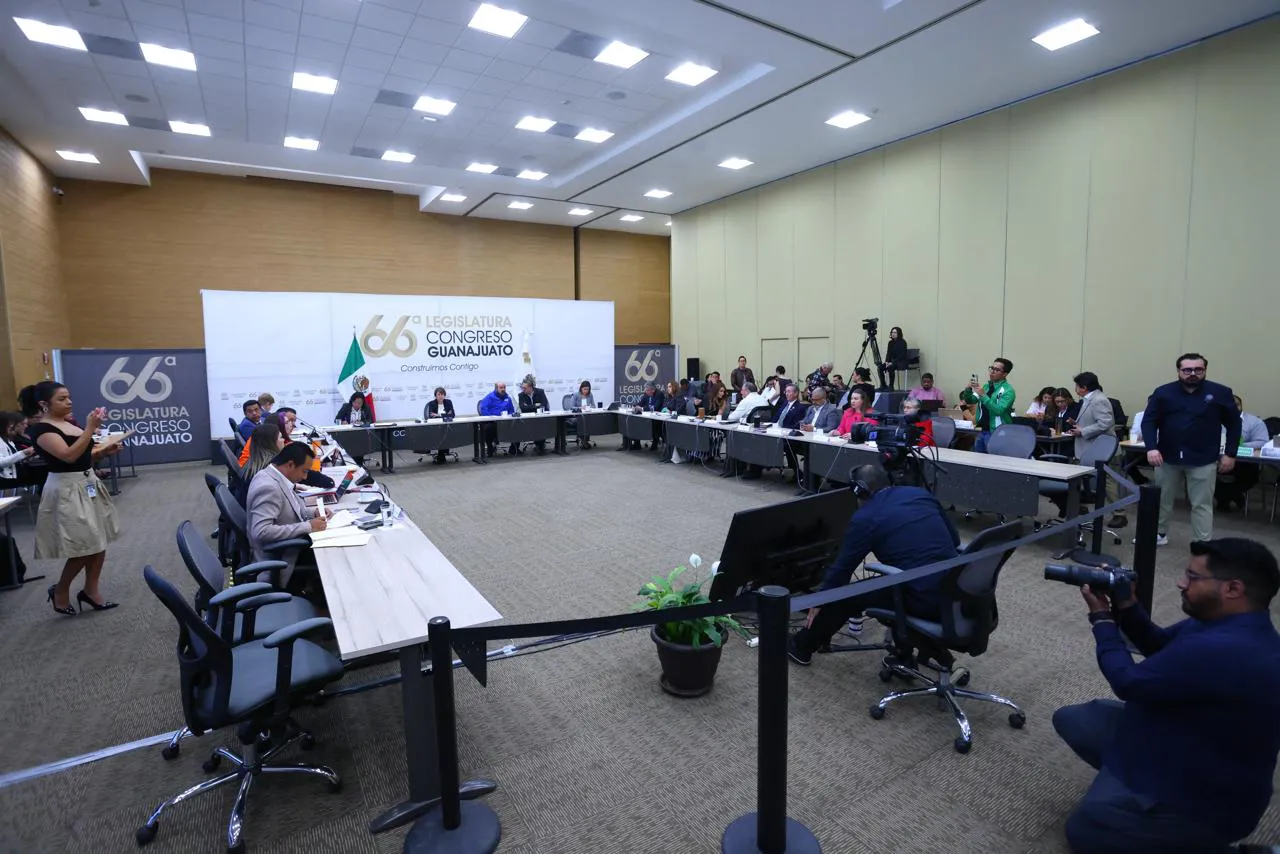 photo_2026-02-13 01.28.11