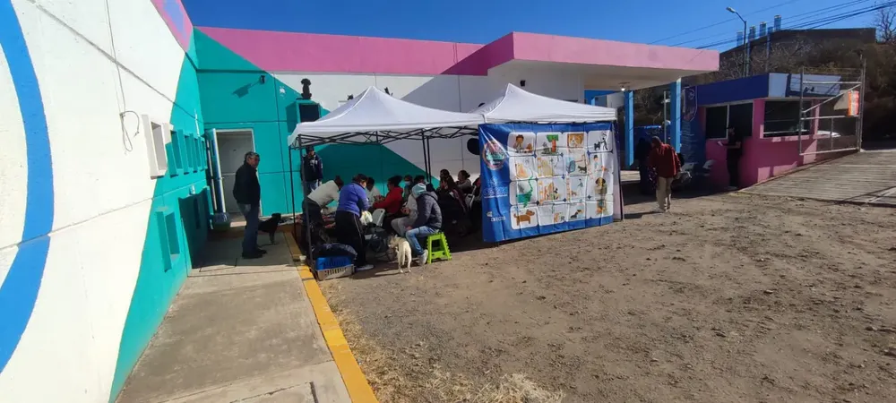 WhatsApp Image 2025-03-01 at 13.53.00