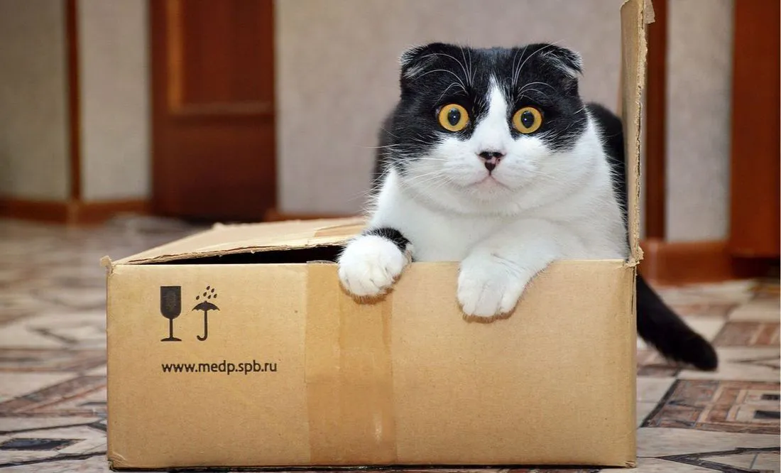 X4FABYY3KBAYXK5IGHG7TFL5BU