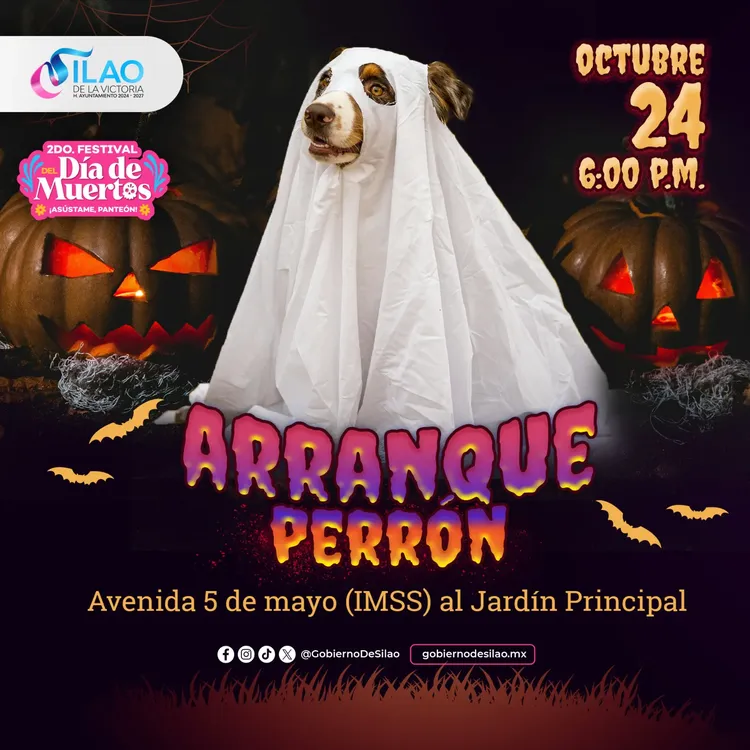 WhatsApp Image 2025-10-23 at 12.05.00