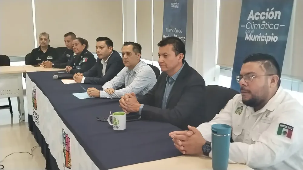 WhatsApp-Image-2024-11-11-at-15.25.48