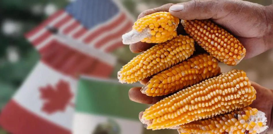 64deeb4bf32c7.r_d.594-325-7900