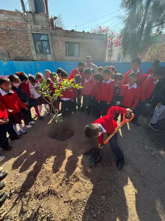 WhatsApp Image 2025-11-04 at 14.05.29