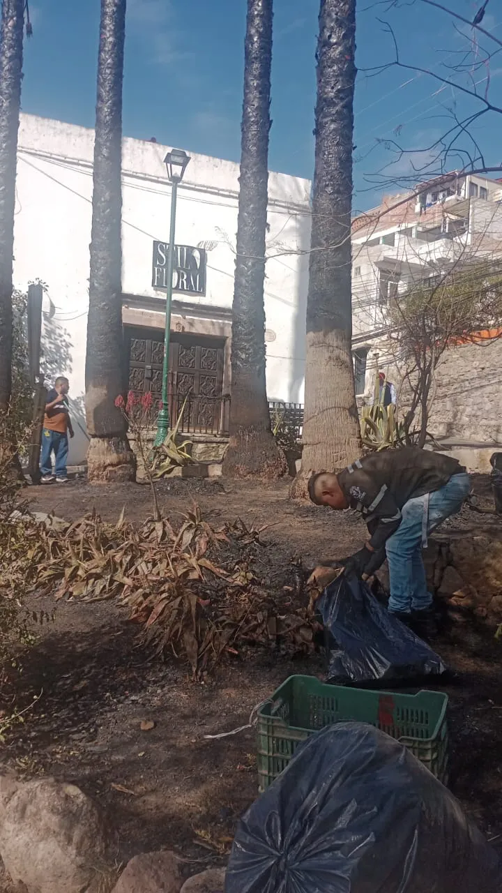 WhatsApp Image 2024-12-25 at 14.48.12