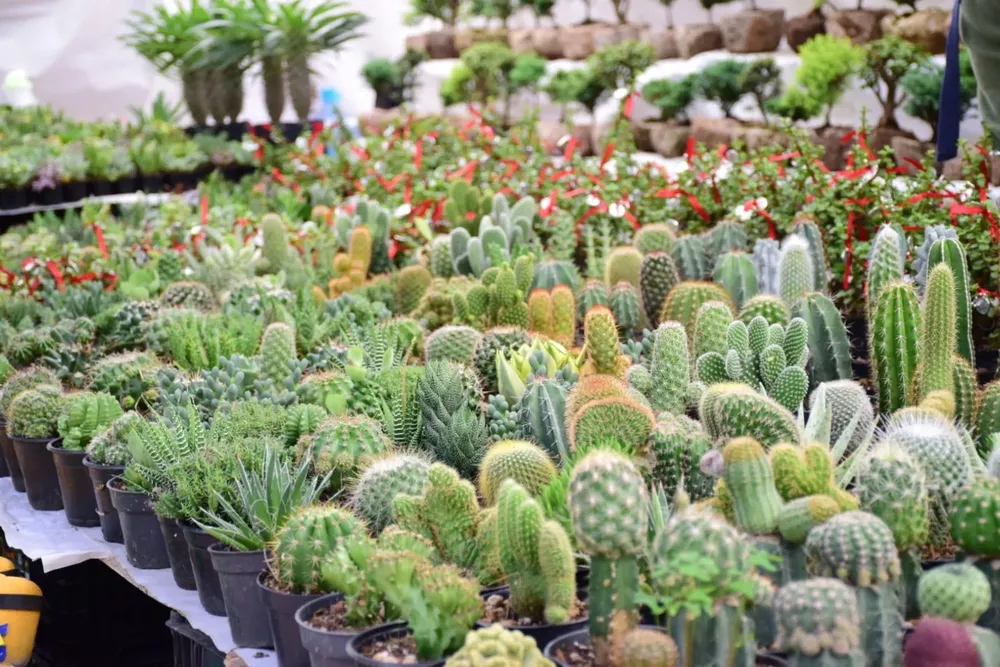 WhatsApp Image 2024-06-18 at 16.32.30 (1)