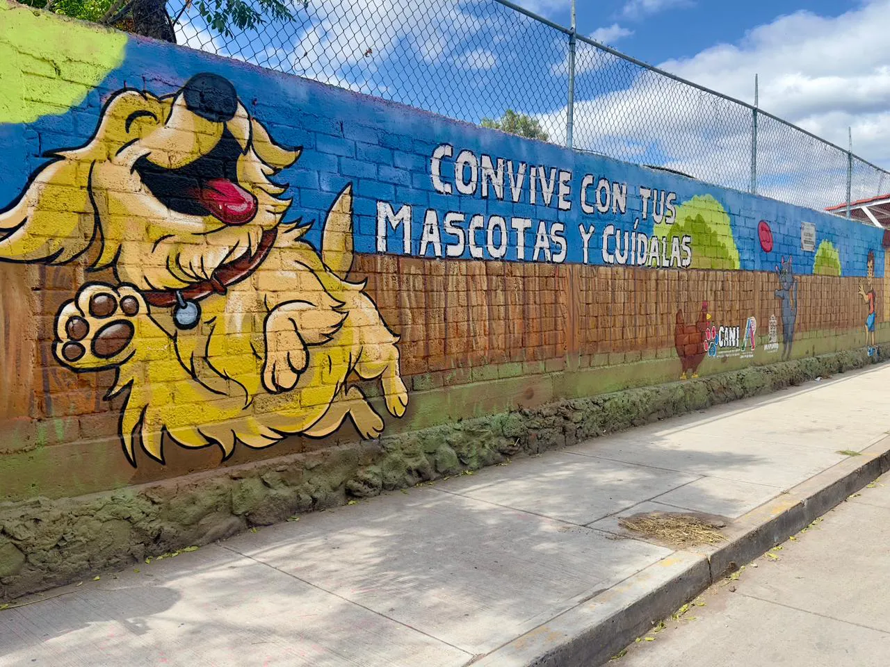 WhatsApp Image 2025-12-15 at 14.33.10