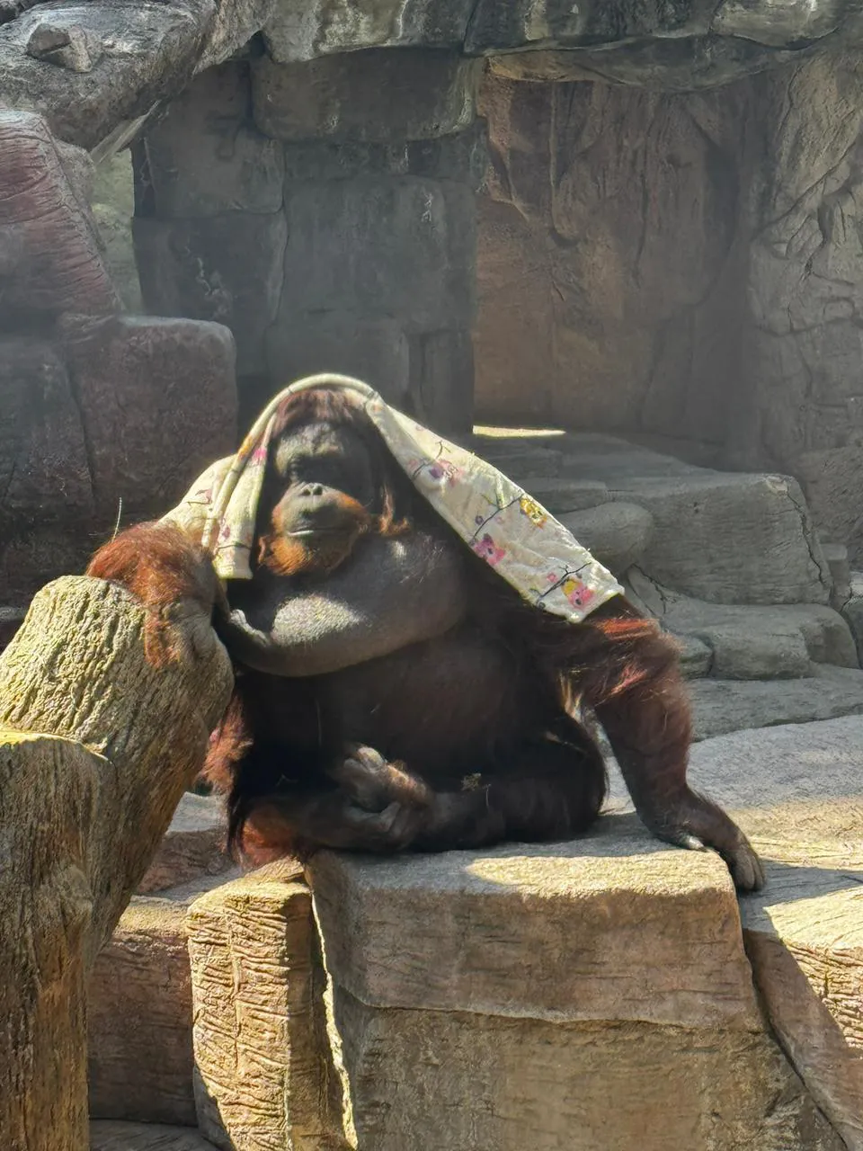 WhatsApp Image 2025-11-13 at 5.53.25 PM (4)