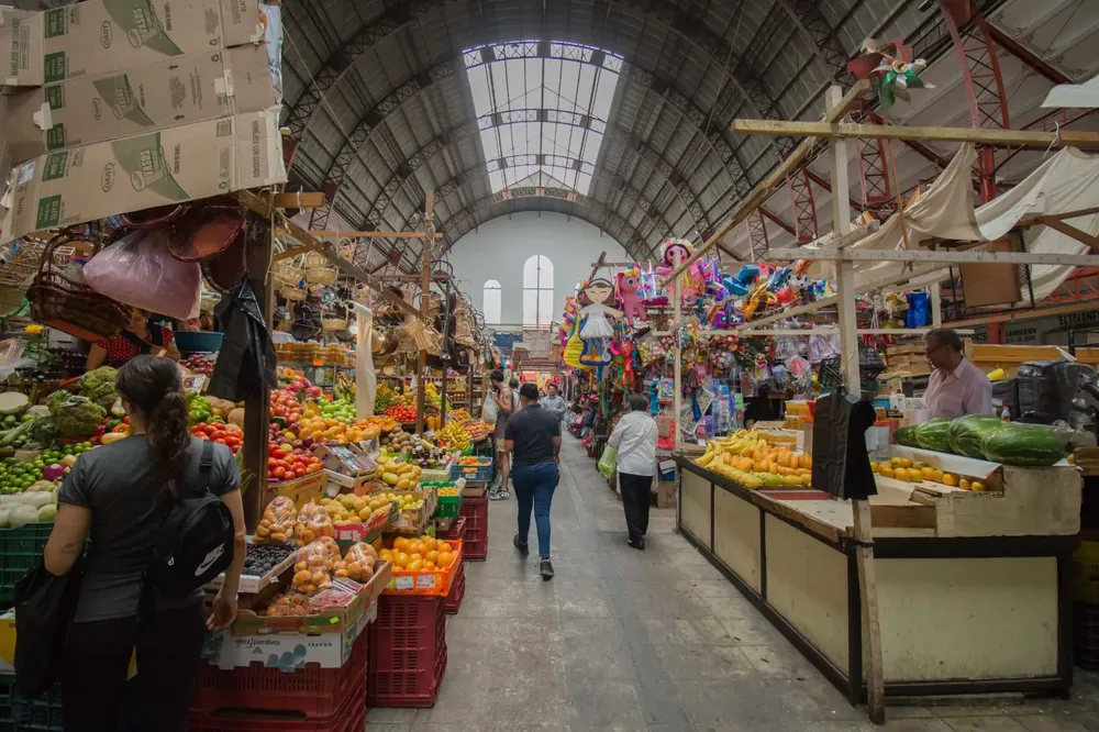 WhatsApp Image 2024-10-09 at 15.53.41