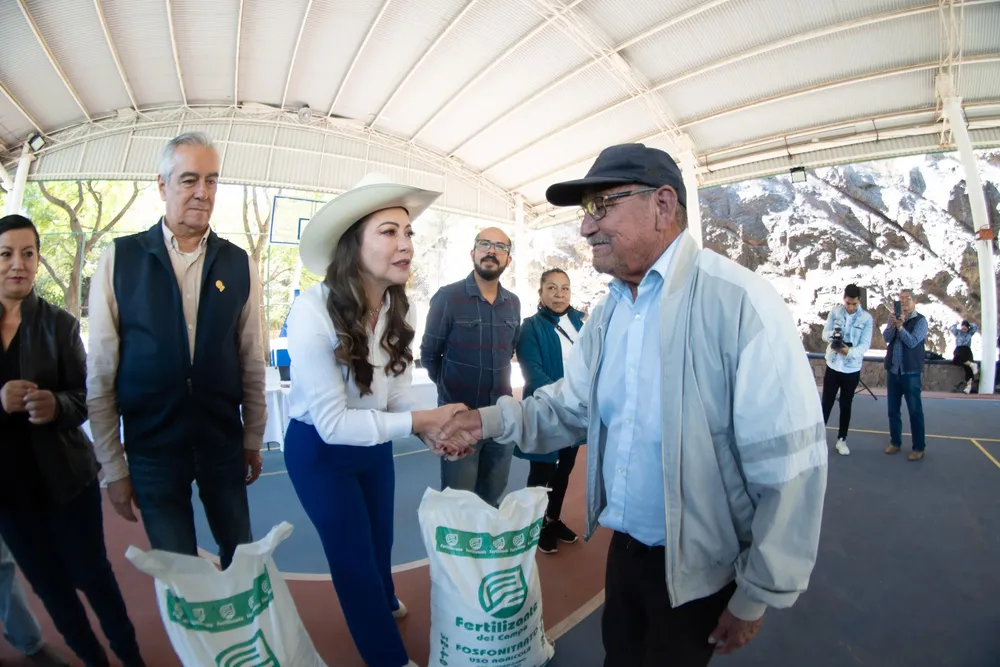 WhatsApp Image 2024-11-27 at 18.53.11