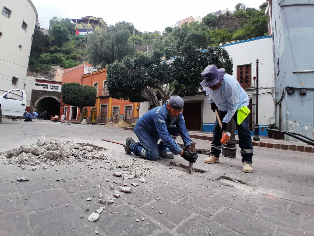 WhatsApp Image 2024-10-07 at 12.21.20