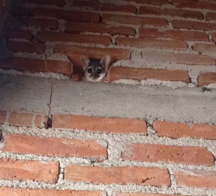 WhatsApp Image 2024-10-17 at 17.09.58