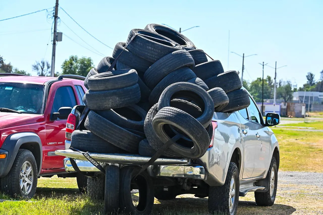 WhatsApp Image 2025-11-03 at 14.50.42